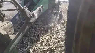 Big square baling corn stalks