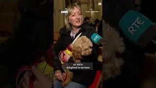 Carol service celebrates dogs in Dublin