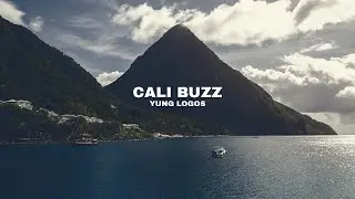 Lo-fi Hip Hop: Cali Buzz - Yung Logos [No copyright music]