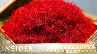 Inside the Saffron Processing Plant &ndash; Harvesting &lsquo;Red Gold&rsquo; for the Billion-Dollar Spice Market