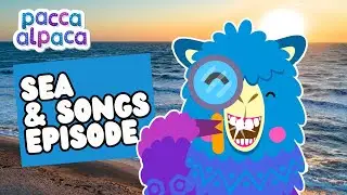 Sea Adventure & Songs | Full Episodes | Learning for Kids | Pacca Alpaca