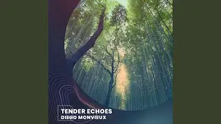 Tender Echoes