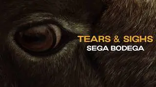 Sega Bodega - Tears & Sighs (sub espa&ntilde;ol)
