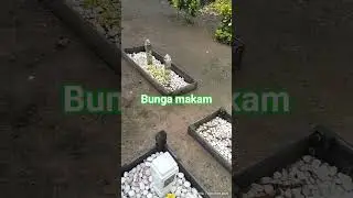 NABUR BUNGA DI MAKAM AYAHANDA TERCINTA DI BARABAI 01012026
