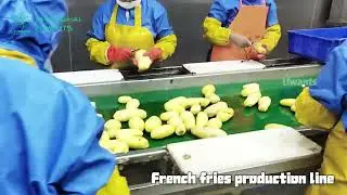 CE Certified  Automatic French Fries Machine Potato Processing Equipment WHAT APPS+8618930065332