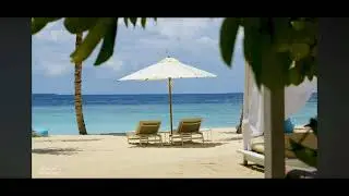 &ldquo;Pineapple Road&rdquo; Composed by Takahiro Niisato