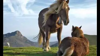 SEVILLANA AL CABALLO