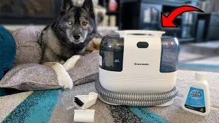 This Portable Carpet Cleaner REALLY Gets the Job Done!
