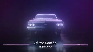 Dj Pre Combo - Which Now - (Pal Station)