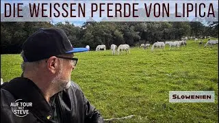 Auf den Spuren der Lipizzaner-Pferde in Slowenien (ATMS Vol 59)