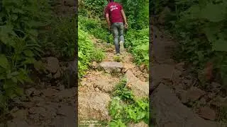 नीम करौली बाबा मंदिर अलवर राजस्थान