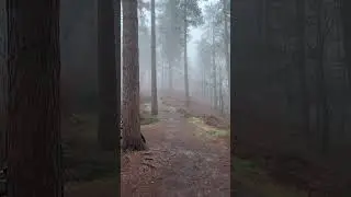 Stile cop - Cannock chase #mtb #mtblife #jumps #riding