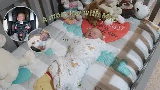 Milo's Morning Routine | Sophia's Reborns