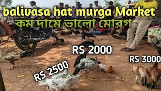 balivasa hat murga market hat #  fighter  murga  market #  jharkhand #viral #trending
