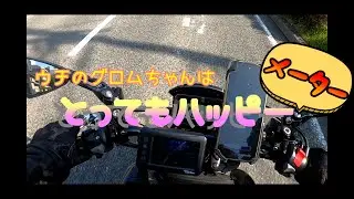 【ハッピーメーター？】GPSとの速度比較 GROM(グロム)2023