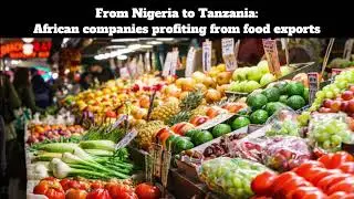 From Nigeria to Tanzania  African companies profiting from food exports