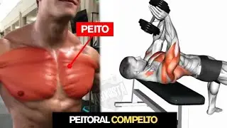 6 Exerc&iacute;cios Treino Completo de Peito Com Movimentos B&aacute;sicos