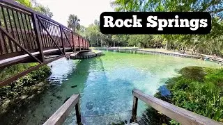 Why You Need This Swimming Hole Near Orlando, Florida | Florida Springs