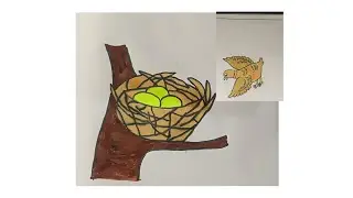 Cute Quail in Nest Coloring | Kids Learning Colors