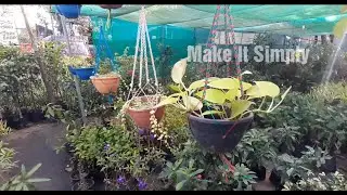 Plant Nursery Visit| Indoor and Outdoor Plants | Make it Simply