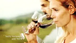 TESTAMENT WINERY