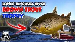 BROWN TROUT TROPHY FROM LOWER TUNGUSKA RIVER | RUSSIAN FISHING 4 INDONESIA GAMEPLAY