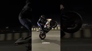 Wheelie King Is Back With New YouTube Channel  #wheeliesins #guyonzx6r #motogp