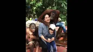 ओर लो बंदरो के साथ फोटौ
