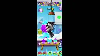 MY Talking Tom #shorts #live #trending #viraltom

#funnycat #satisfying