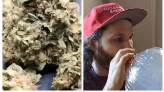 Thca small buds. 