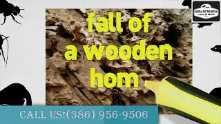 Tips For Preventing Termites