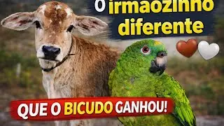 BICUDO GANHOU UM IRMAOZINHO