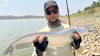 Catfish Pathan Fish Hunting with Spoon Lure Amazing Fishing Adventure #fishing #fishingvideo #fish