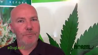 NORML News Episode 3 - What would Helen Kelly do?
