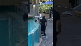 Don&rsquo;t mess with Tom&rsquo;s hat 😭👏 Mime Seaworld tom #funny #seaworldmime #tomthemime