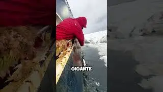 Pesca extrema en el hielo &iexcl;Incre&iacute;ble! 😱 #shorts