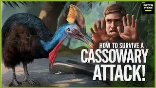 CASSOWARY ATTACK SURVIVAL TIPS!