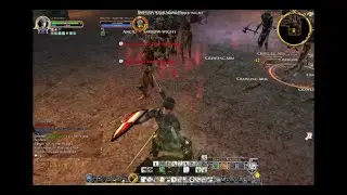 lotro warden(blue line)solo the maze level29