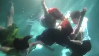 Underwater   medium quality