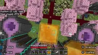 PS5 Honey