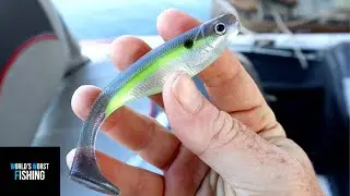 Do Home-Made Baits Work?? Testing MY BEST Lures!