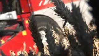 Massey Ferguson DELTA kombainas