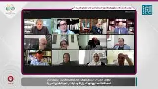 القضاء الدستوري والاجتهادات المتعلقة بموضوع التمييز الإيجابي