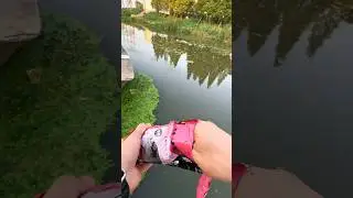 River Fishing With Corn Bait 🌽। Amazing Hook Fishing #fishing #fish #carp #bait