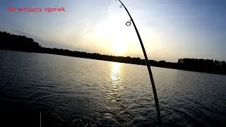 Wirujący ogonek /spinmad/ jak przezbroić aby unikać spad&oacute;w