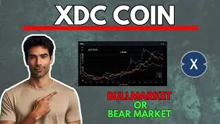 Вернется ли XDC к росту (или мы находимся на медвежьем рынке?)