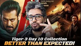 Tiger 3 Day 10 collection & Day 11 Advance, Tiger 3 Lifetime collection, Better than expected