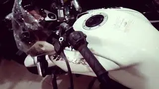 Brand new White Hunk DD