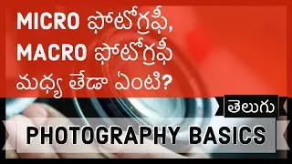 Micro ఫోటోగ్రఫీ, Macro ఫోటోగ్రఫీ మధ్య తేడా ఏంటి? | Learn Photography in Telugu