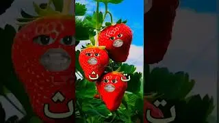 Alif un ba taun sa 🌹🍓🍓 #love #cute #talkingtom #cartoon #alifunba #islam #islamicstatus